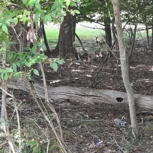 Meet your Posher, Jim